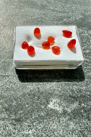 unset Carnelian Bullet Cabochons in box