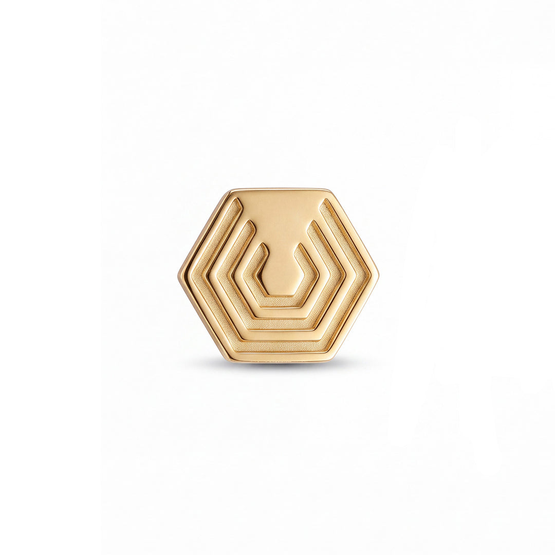 Edge Only Hexagon Pin in 18ct gold vermeil on a white background