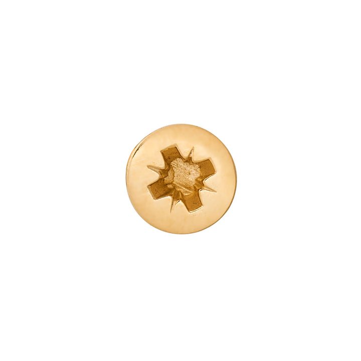 Edge Only Phillips-head Screw Pin in gold vermeil