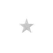 Edge Only Star Pin in sterling silver - frosted